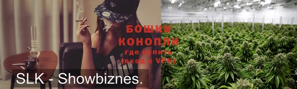 амф Мегион