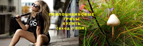 винт Медвежьегорск