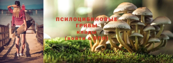 амф Мегион