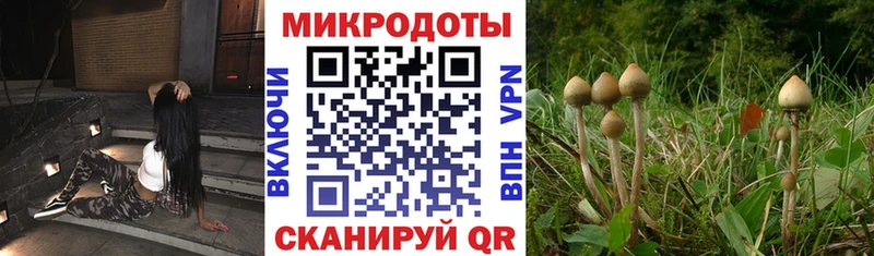 Галлюциногенные грибы Cubensis  Энгельс 