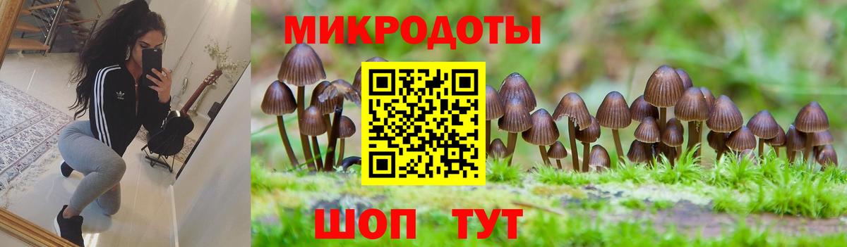 Энгельс  Галлюциногенные грибы MAGIC MUSHROOMS  Вход с VPN  наркошоп  Галлюциногенные грибы прущие грибы 