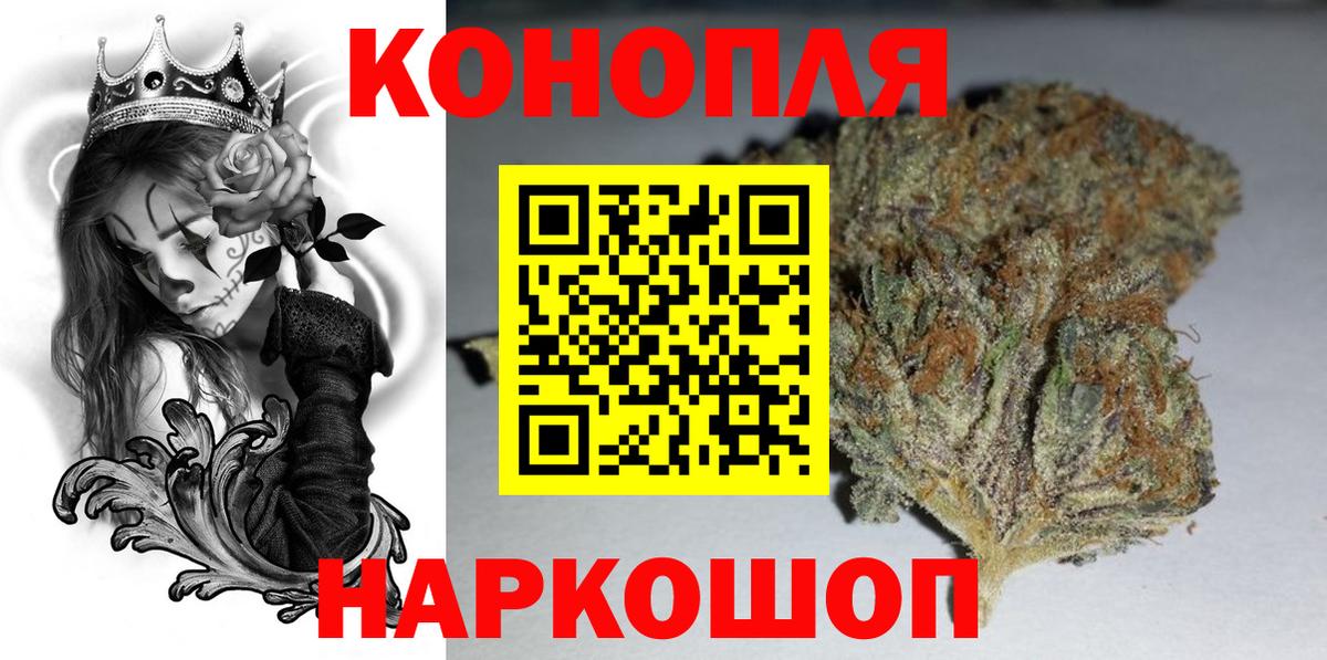 Каннабис сатива Энгельс